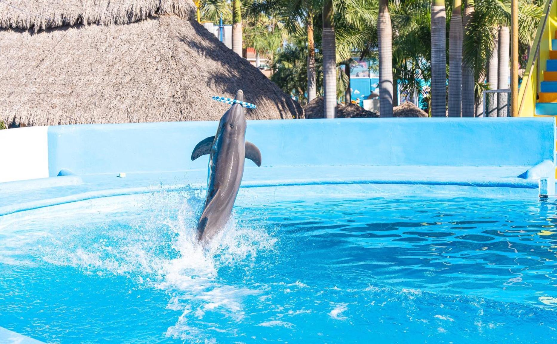 Splash Inn Nuevo Vallarta & Parque Acuatico Luaran gambar
